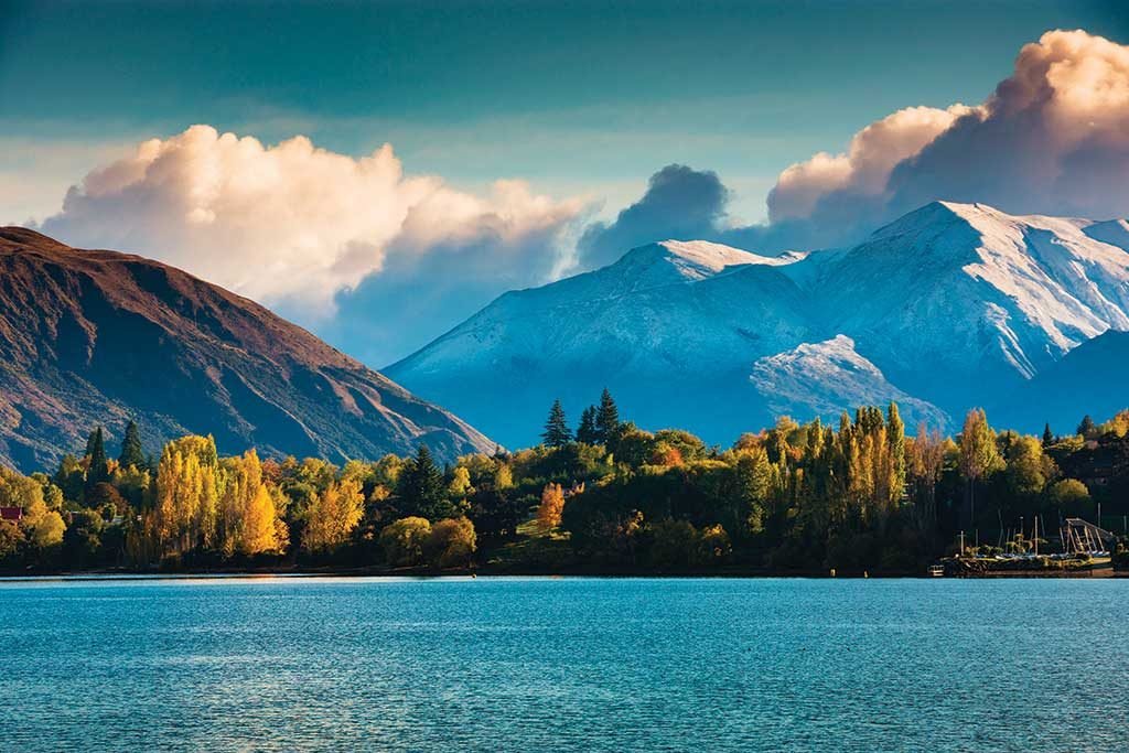 Study in New Zealand